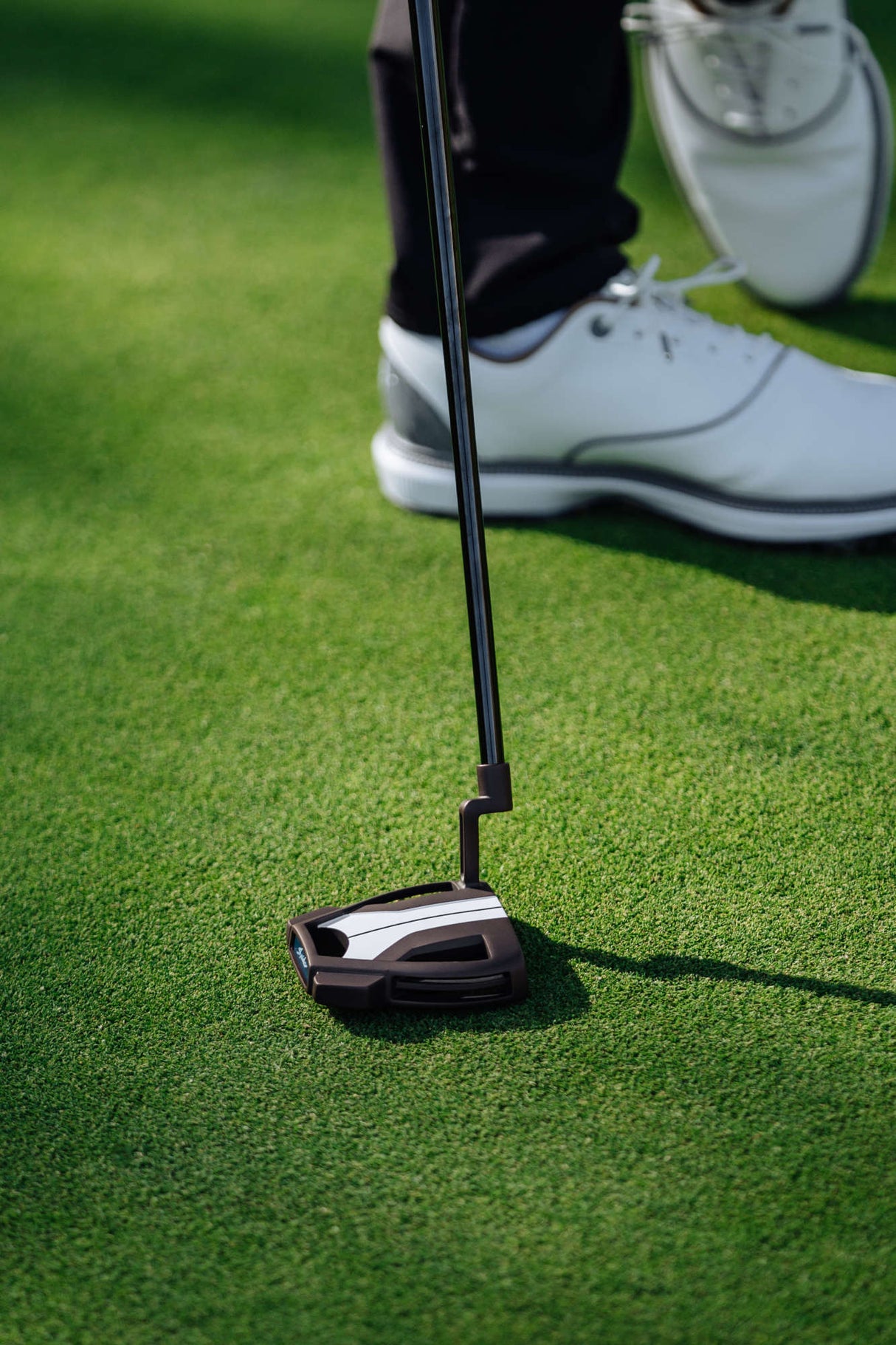 TaylorMade Spider Tour X Torched Putter, 1 (L-Neck), True Path, Rechtshand - Golflaedchen.de