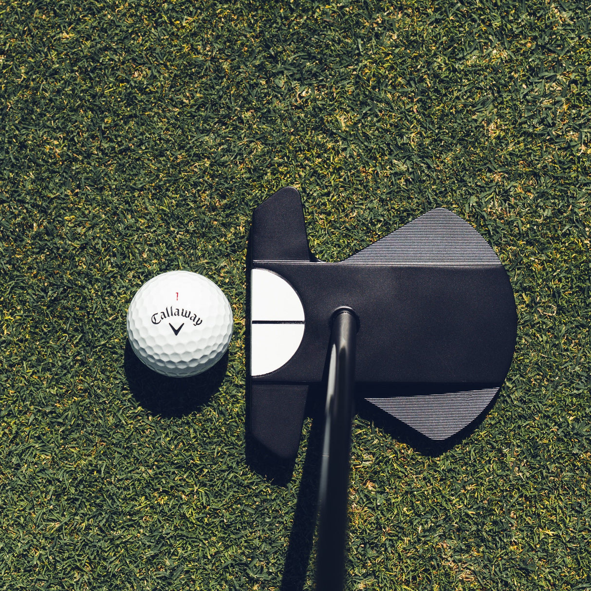 Odyssey S2S Ai - DUAL Cruiser Max 1/2 Ball Putter, Rechtshand - Golflaedchen.de
