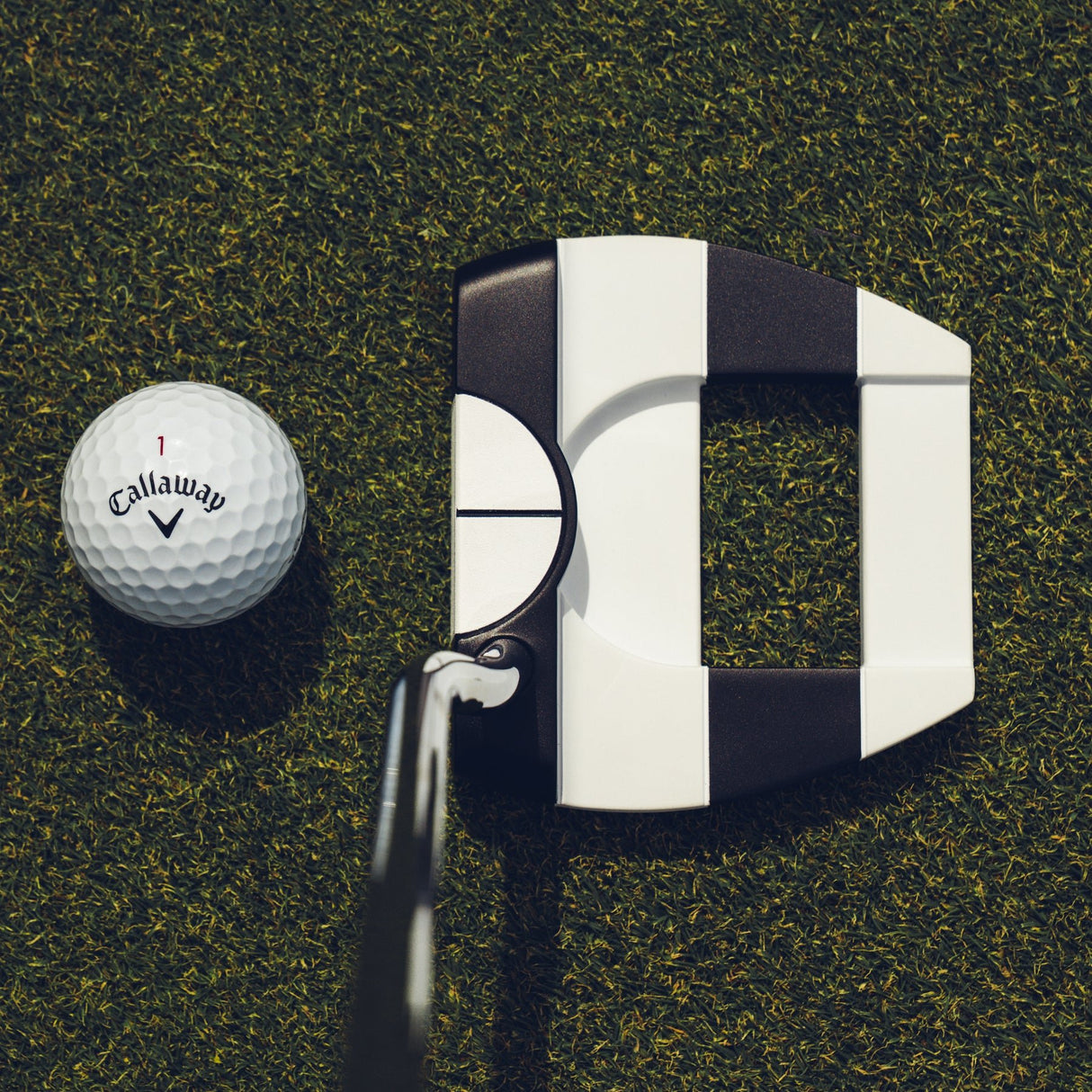 Odyssey Ai - DUAL Jailbird Cruiser 1/2 Ball Putter, DB, Linkshand - Golflaedchen.de