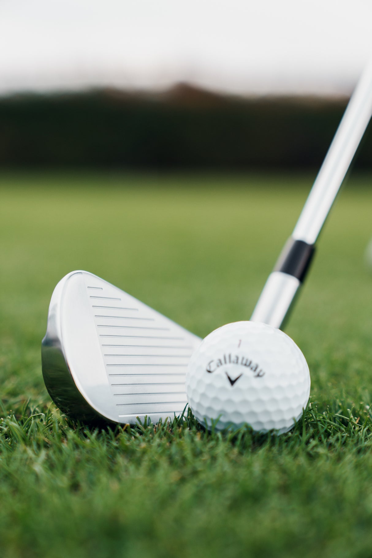 Callaway Quantum MAX Wedge / Einzel - Eisen, Graphitschaft, Herren Rechtshand - Golflaedchen.de